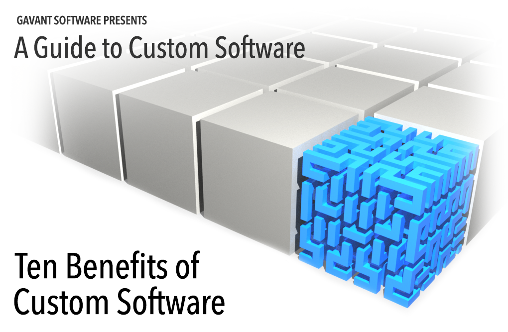 Ten Benefits of Custom Software