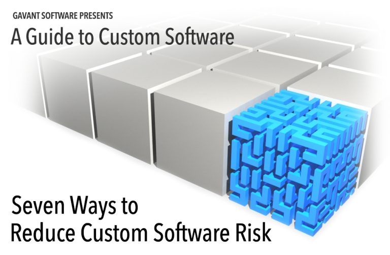 Reducing Customization Seven Ways to Reduce Custom Software Risk | Gavant Blog
