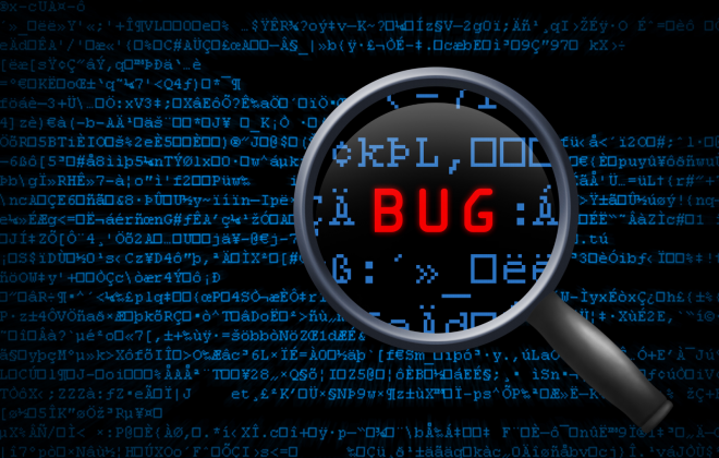 Common Bugs in Software Development
